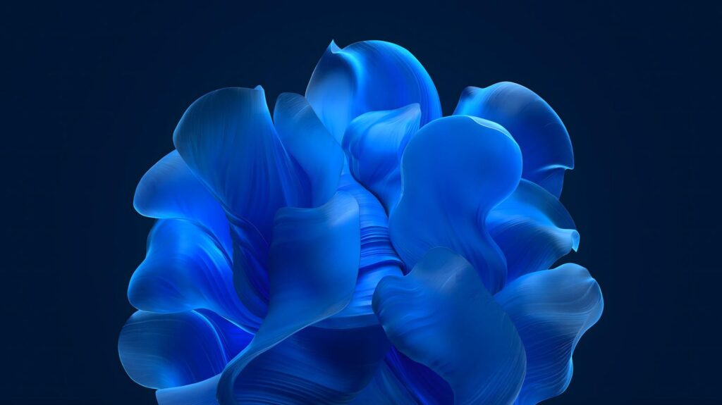Windows 11 Bloom official wallpaper